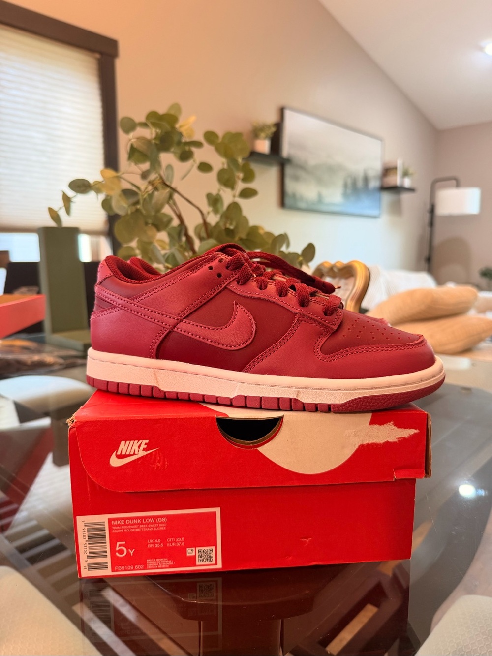 Nike Dunk Low Youth Sneakers - Maroon/White